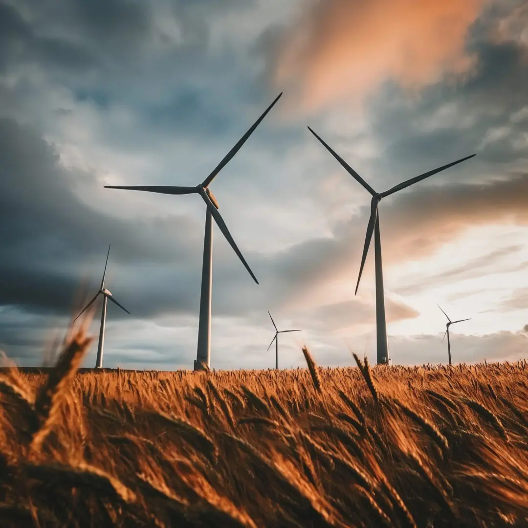 Energy & Resources